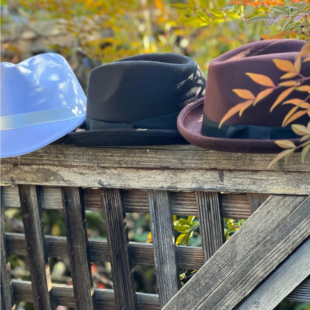Lot of 11 vintage fashion fedora hats draw and felt unisex one size